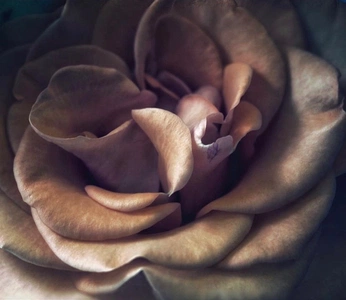 A cover of "Zoomzoom" cluster. The owner is houseofvavi. The cluster consists of 1 element.