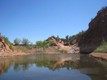 A cover of "digicam" cluster. The owner is traderjoes. The cluster consists of 9 elements.