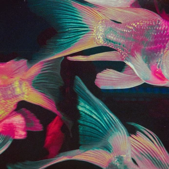 A cover of "places + things." cluster. The owner is paperwings. The cluster consists of 5 elements.