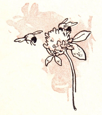 A cover of "tatts" cluster. The owner is prush. The cluster consists of 92 elements.