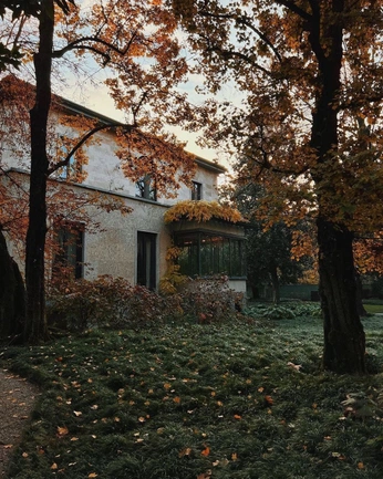 A cover of "autumn" cluster. The owner is bess. The cluster consists of 6 elements.