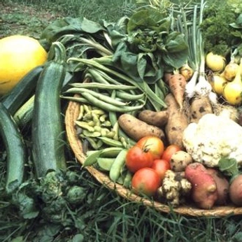 A cover of "me; garden" cluster. The owner is kameleonten. The cluster consists of 10 elements.