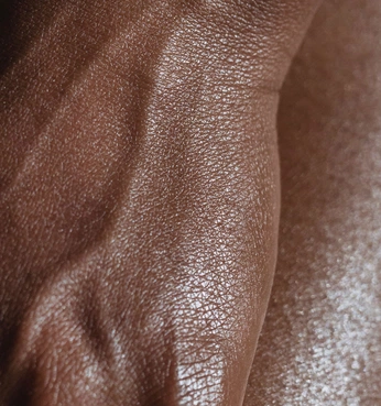 A cover of "skin & anatomy" cluster. The owner is eirenelara. The cluster consists of 11 elements.