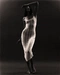 Cover of Fashion cluster