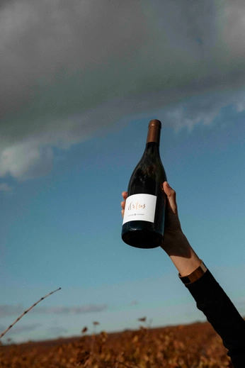 A cover of "Laurent Miquel" cluster. The owner is hesat. The cluster consists of 29 elements.