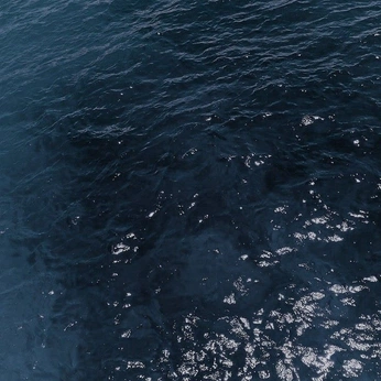 A cover of "Wallpapers" cluster. The owner is cosmos.leaf. The cluster consists of 7 elements.