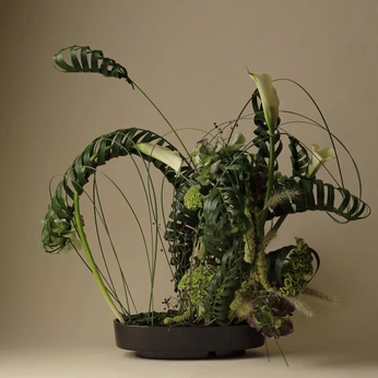 A cover of "vase compositions" cluster. The owner is enforhax. The cluster consists of 6 elements.