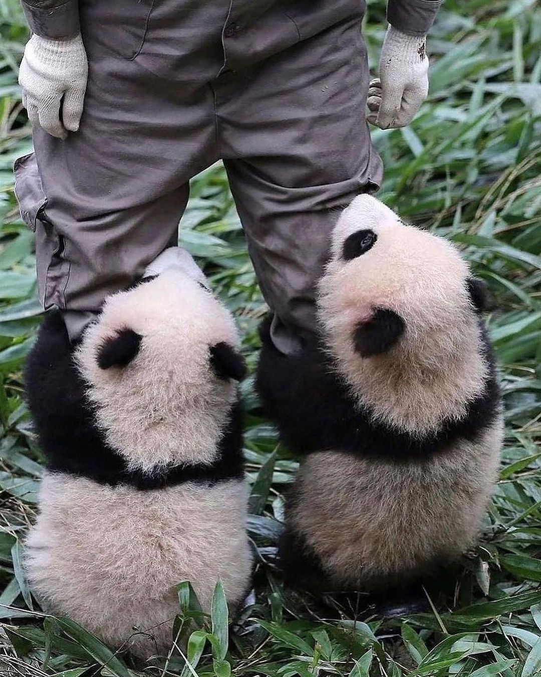 An Instagram carousel post added by colindancel on Jul 27, 2023. The author is @saint.