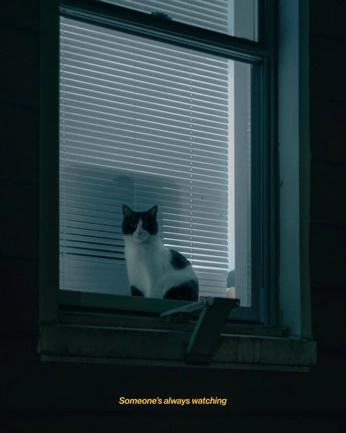 A cover of "cinematic" cluster. The owner is kopestudio. The cluster consists of 1 element.