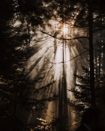 A cover of "Isadora insta" cluster. The owner is isadora.mazon. The cluster consists of 60 elements.