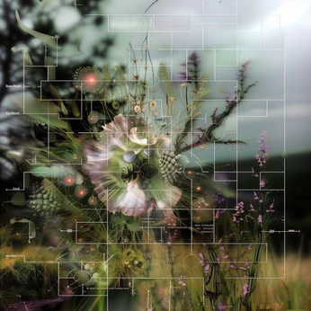 A cover of "Nieuwe media 2" cluster. The owner is steynphotography. The cluster consists of 20 elements.