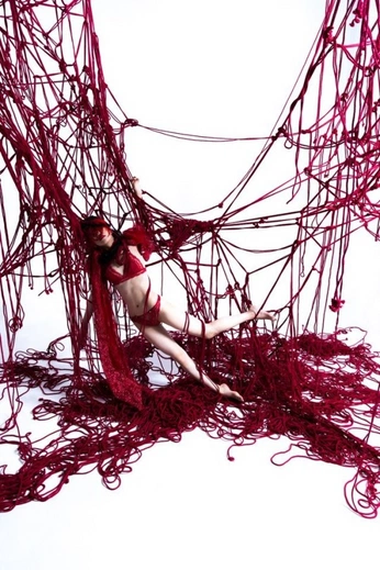 A cover of "red thread shoot" cluster. The owner is rya02. The cluster consists of 45 elements.