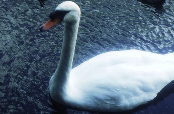 A cover of "🌪️🌪️" cluster. The owner is paigeluvzcatss. The cluster description is "life.". The cluster consists of 20 elements.