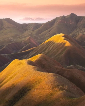 A cover of "Pretty" cluster. The owner is hpierantoni. The cluster consists of 4 elements.