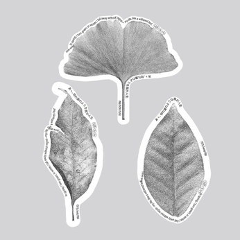 A cover of "Grabplatte" cluster. The owner is mariepieper. The cluster consists of 1 element.