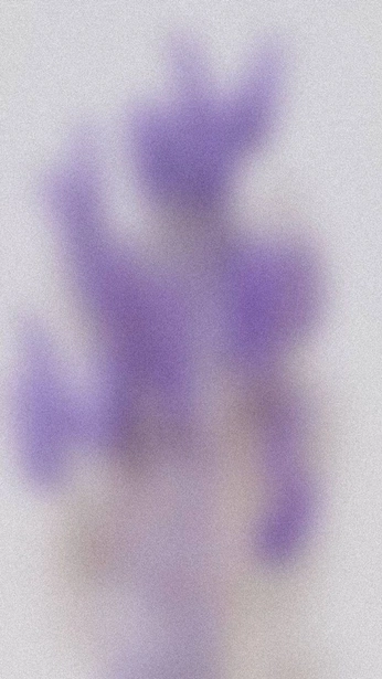 A cover of "lavanda" cluster. The owner is lunna. The cluster consists of 41 elements.