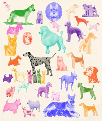 A cover of "Poodles" cluster. The owner is jmemare. The cluster consists of 56 elements.