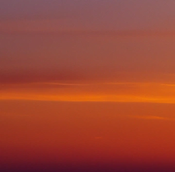 Cover of tahitian vanilla cluster