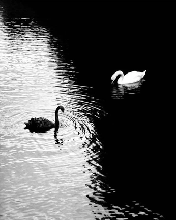 A cover of "Terra" cluster. The owner is marchesani. The cluster consists of 1 element.