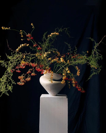 A cover of "vegetal" cluster. The owner is christophercao. The cluster consists of 37 elements.