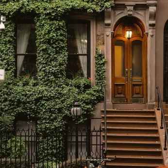 A cover of "TS" cluster. The owner is katiemack. The cluster description is "Mood board". The cluster consists of 43 elements.