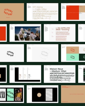 A cover of "Decks" cluster. The owner is mjjod. The cluster consists of 2 elements.