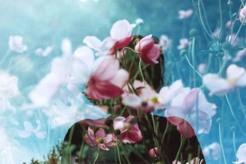 A cover of "layer" cluster. The owner is bellaswor.ld. The cluster consists of 7 elements.