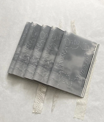 A cover of "zines" cluster. The owner is trooney2003. The cluster consists of 1 element.