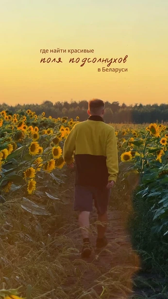 A cover of "Подсолнухи" cluster. The owner is pavlovskaya.pro. The cluster consists of 1 element.