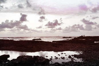 A cover of "📷" cluster. The owner is trepresentahi. The cluster consists of 1 element.