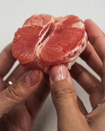 A cover of "Food" cluster. The owner is sebwstien. The cluster consists of 6 elements.