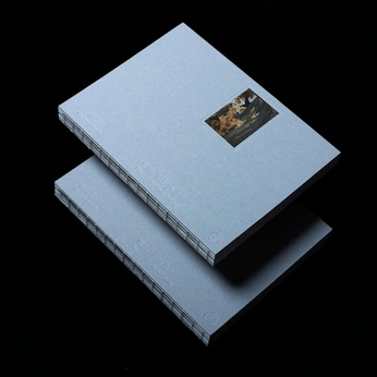 A cover of "Print" cluster. The owner is roolffff. The cluster consists of 4 elements.