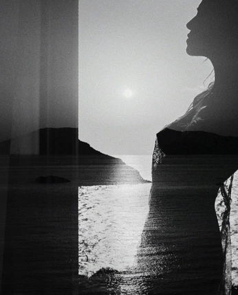 A cover of "D" cluster. The owner is rqtanele. The cluster consists of 7 elements.