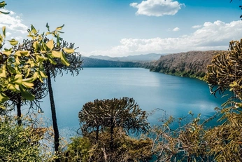 A cover of "Nyumbani" cluster. The owner is kusal. The cluster consists of 8 elements.