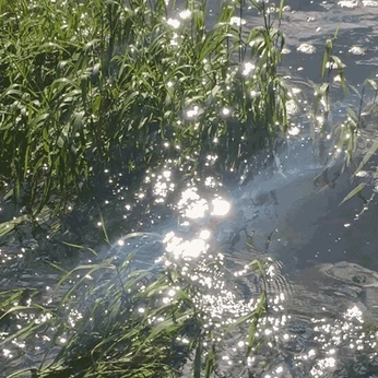 A cover of "𝒘𝒂𝒓𝒎𝒕𝒉⊹₊⟡⋆" cluster. The owner is starzzxq. The cluster consists of 47 elements.