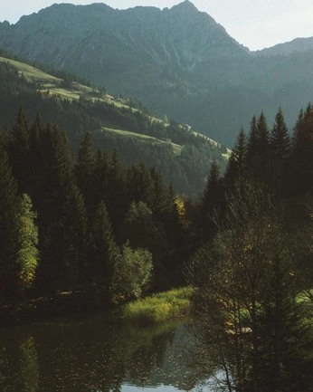 A cover of "Nature" cluster. The owner is silverf0xii. The cluster consists of 9 elements.