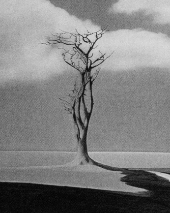 A cover of "death & trees" cluster. The owner is moanasax. The cluster consists of 12 elements.