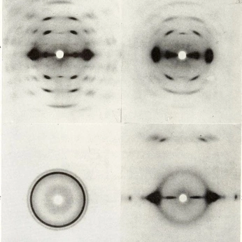 A cover of "/circuitry" cluster. The owner is vonarbin. The cluster consists of 24 elements.