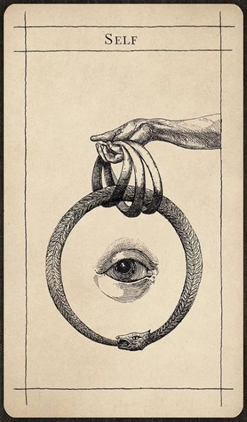 A cover of "Jung" cluster. The owner is madisonhamburg. The cluster consists of 7 elements.