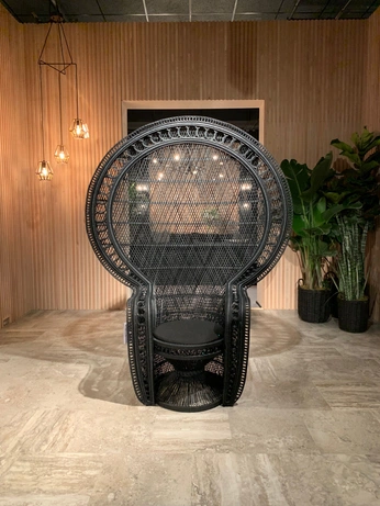 A cover of "Peacock chairs" cluster. The owner is myronandco. The cluster consists of 2 elements.