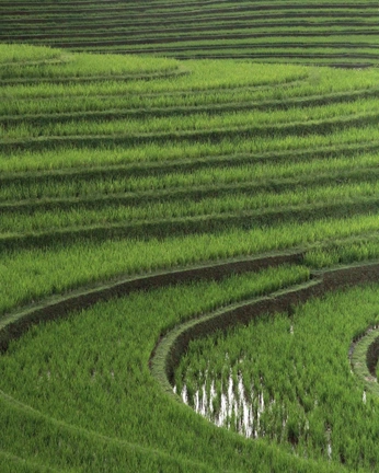 A cover of "earth" cluster. The owner is emoler. The cluster consists of 19 elements.