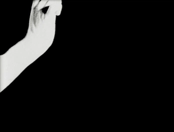 A cover of "B/W" cluster. The owner is 2palesa4. The cluster description is "▪️▫️". The cluster consists of 79 elements.