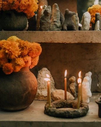 A cover of "Aestetic wedding" cluster. The owner is benedettaombroni. The cluster consists of 5 elements.