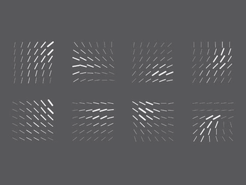 A cover of "NZ - 5 (Patterns)" cluster. The owner is alevikx. The cluster consists of 22 elements.