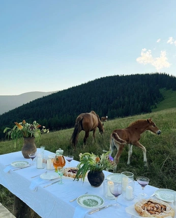 A cover of "Country" cluster. The owner is valsecchisara. The cluster consists of 313 elements.