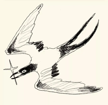 A cover of "kunst" cluster. The owner is williefrost. The cluster consists of 12 elements.