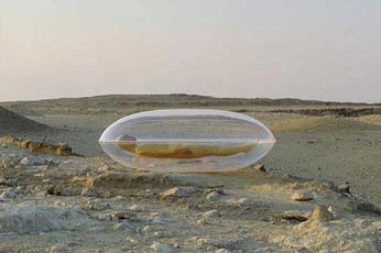 A cover of "eco intimate" cluster. The owner is lanadeeelenn. The cluster consists of 130 elements.