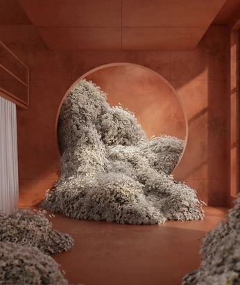 A cover of "Designs" cluster. The owner is lolaashwell. The cluster consists of 3 elements.