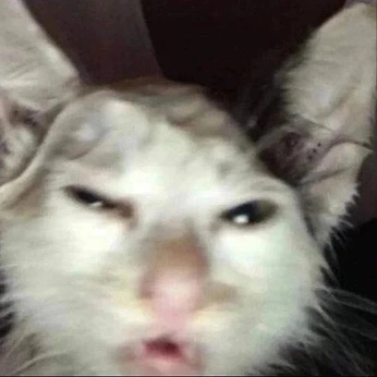 A cover of "cats" cluster. The owner is mel.png. The cluster consists of 17 elements.