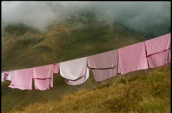 A cover of "Elkøp" cluster. The owner is gretadillen. The cluster consists of 11 elements.